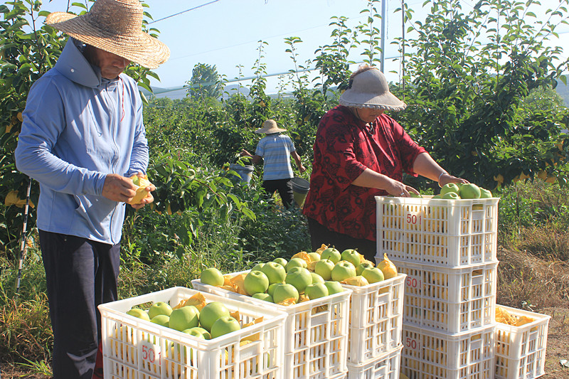 ��ó������Ѕ^(q��)ǰ�����@�����@������������